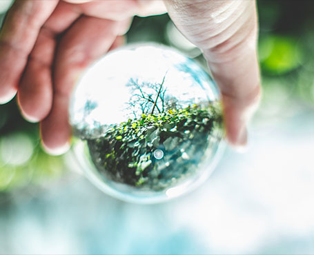 中關(guān)村節(jié)能環(huán)保專委會網(wǎng)站|一網(wǎng)天行-網(wǎng)站建設小程序APP系統(tǒng)軟件開發(fā)公司