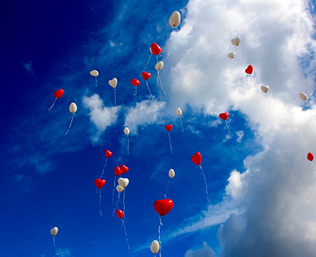 大眾籌-在線眾籌網(wǎng)站平臺|一網(wǎng)天行-網(wǎng)站建設(shè)小程序APP系統(tǒng)軟件開發(fā)公司