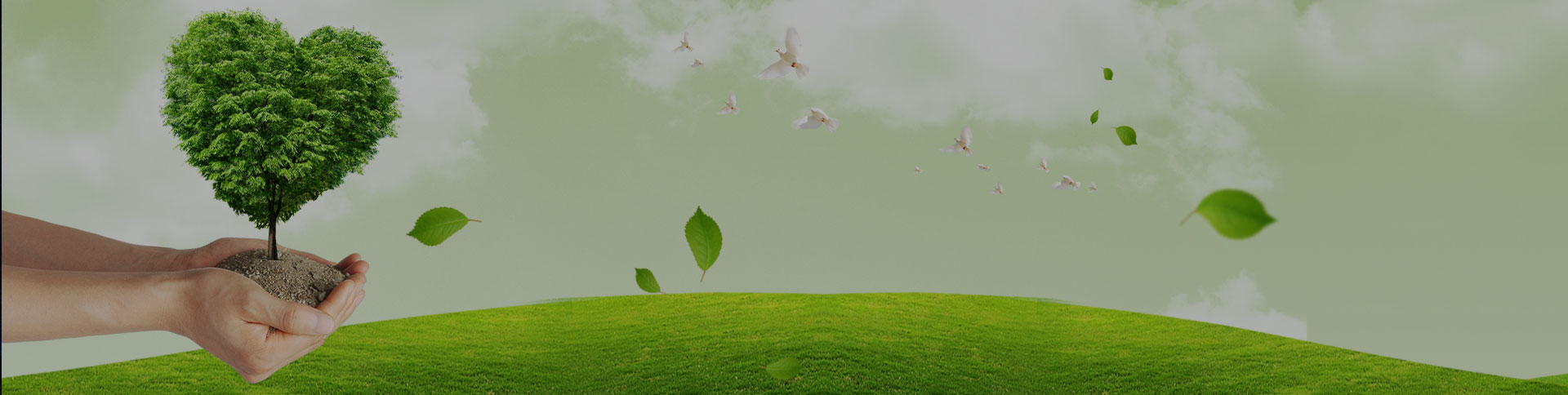 吉林天澤企業(yè)宣傳網(wǎng)站|一網(wǎng)天行-網(wǎng)站建設(shè)小程序APP系統(tǒng)軟件開發(fā)公司