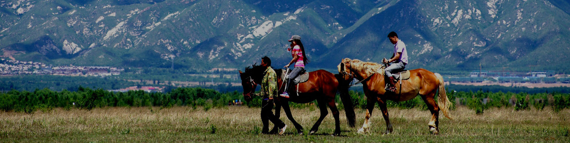 京西北旅游-微信H5展示平臺(tái)|一網(wǎng)天行-網(wǎng)站建設(shè)小程序APP系統(tǒng)軟件開發(fā)公司